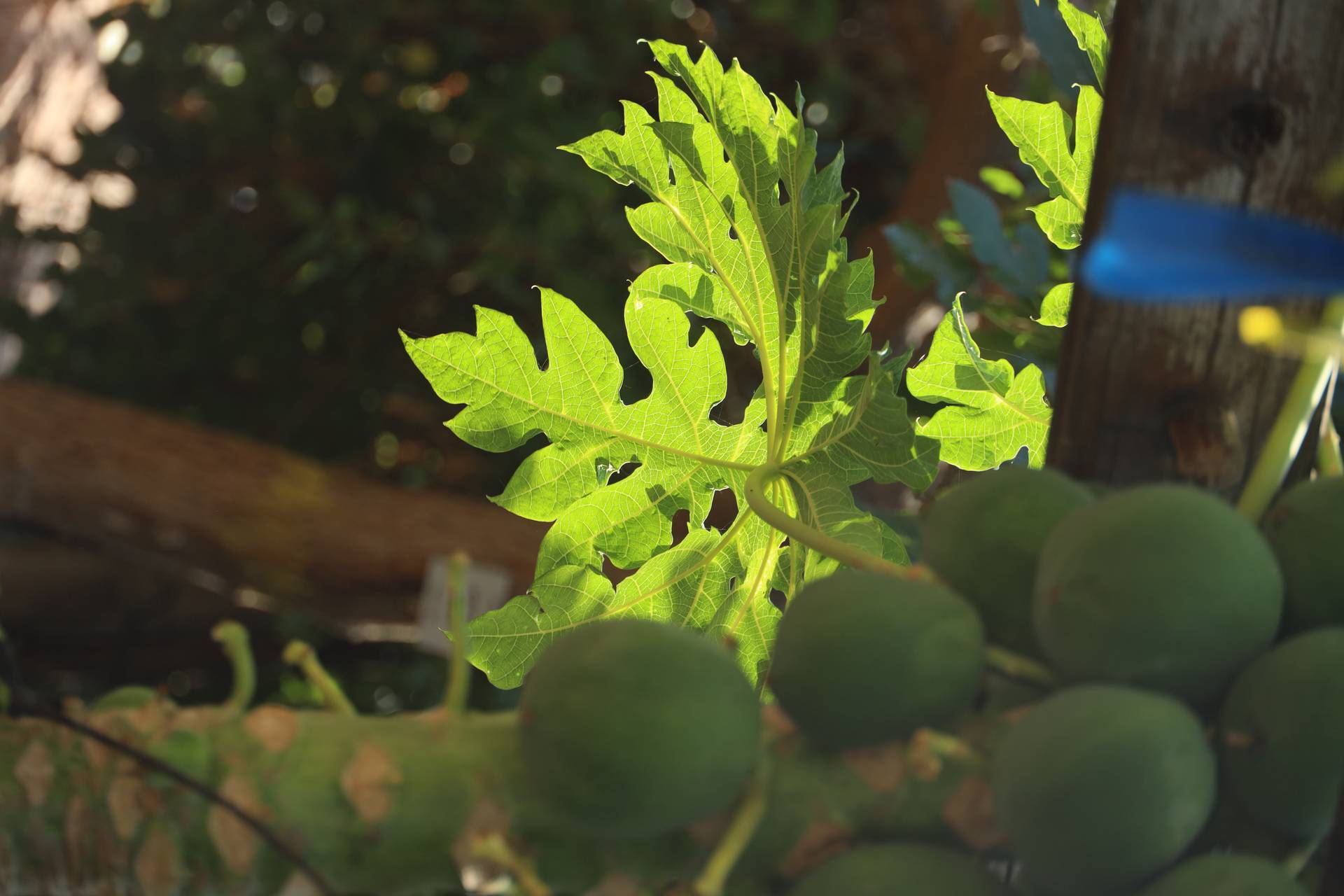 סיורים מודרכים במעגן מיכאל